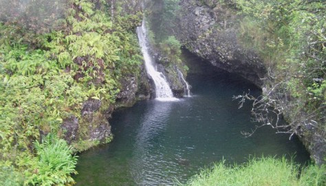 Top 10 best Free things to do on Maui